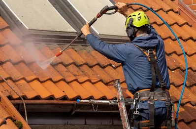 Démoussage et hydrofuge de toiture à Jumeaux